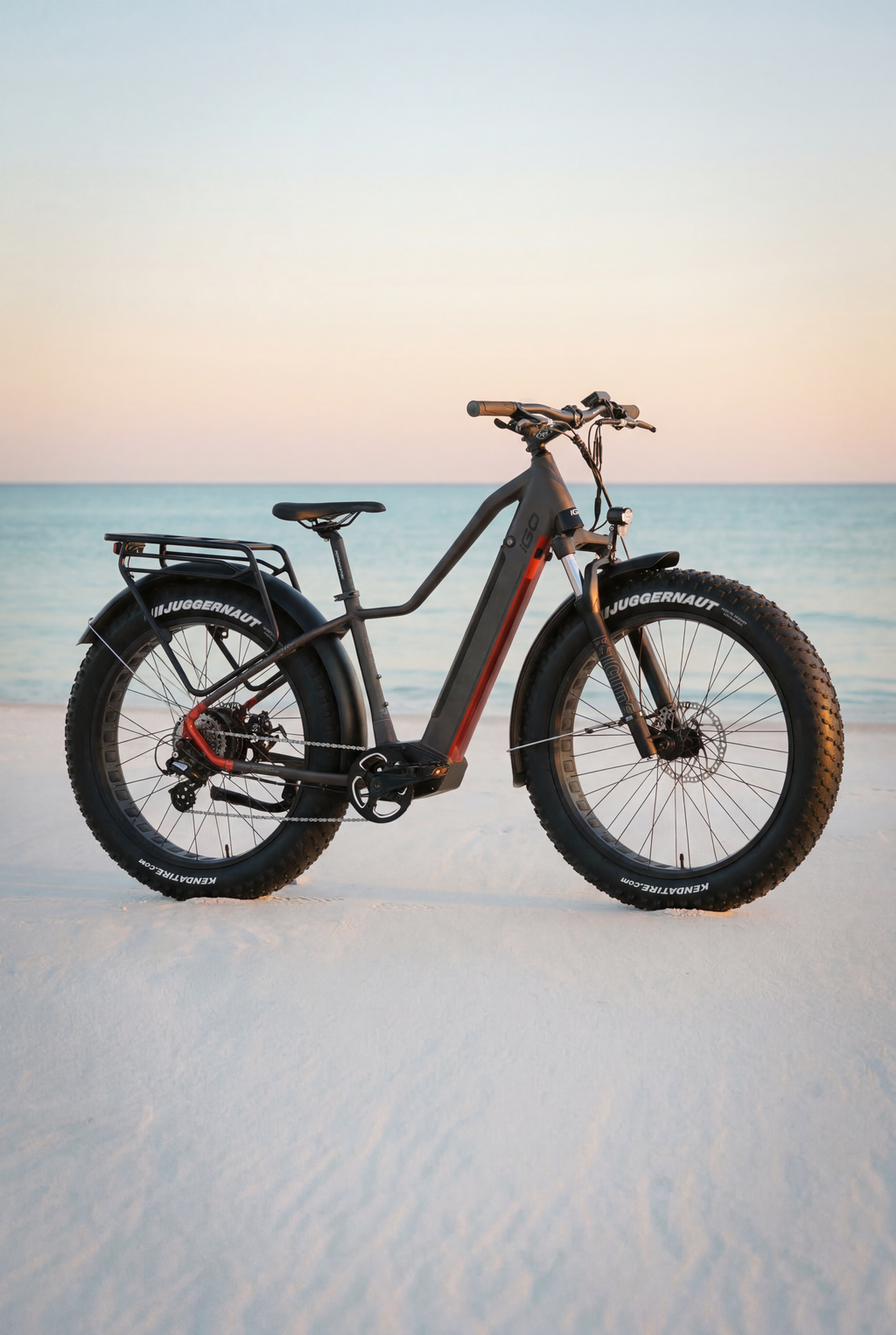 Fat e-bike / 100km range ( Black )